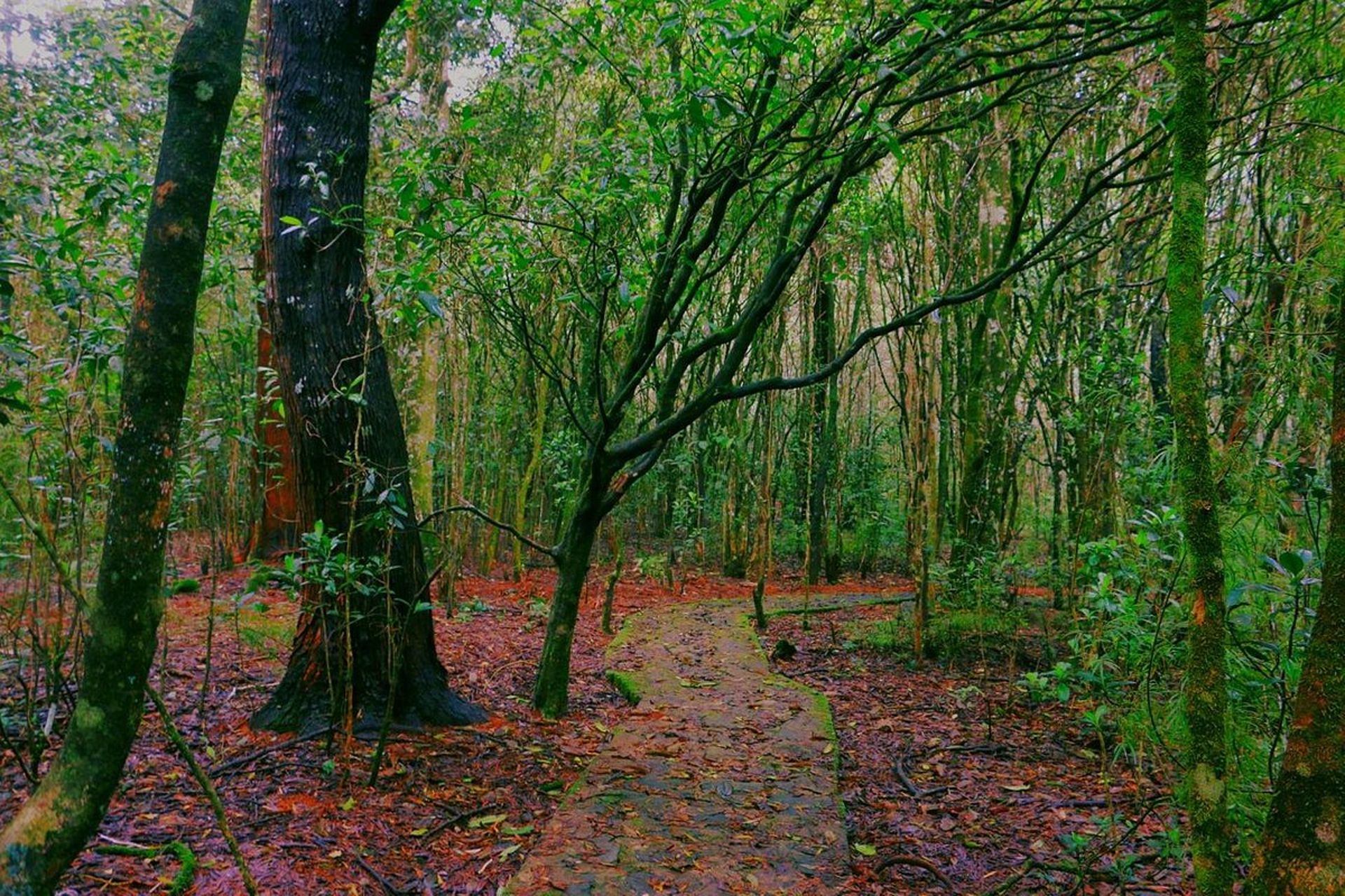 GALWAY’S LAND BIRD SANCTUARY