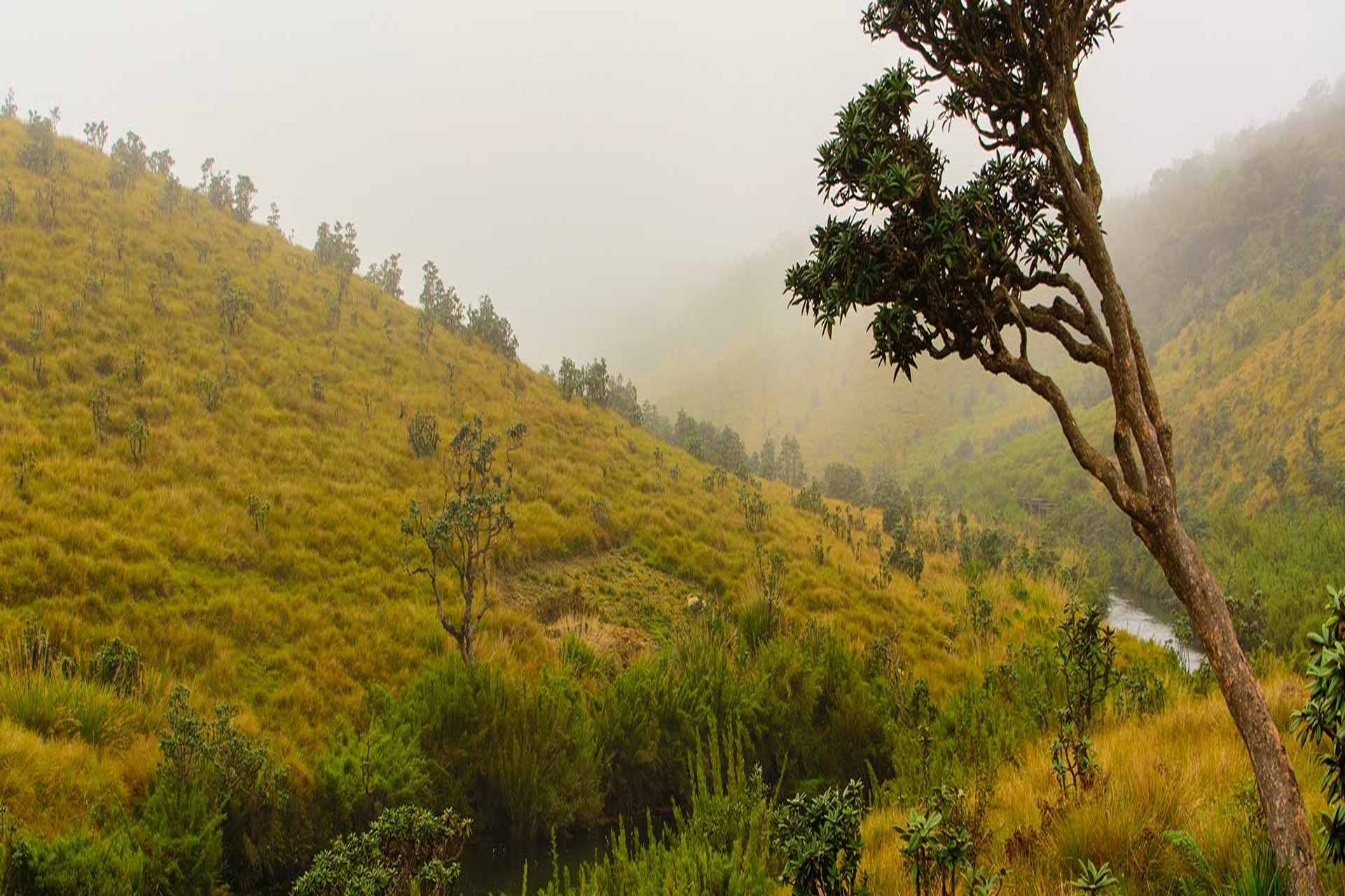 HORTON PLAINS NATIONAL PARK